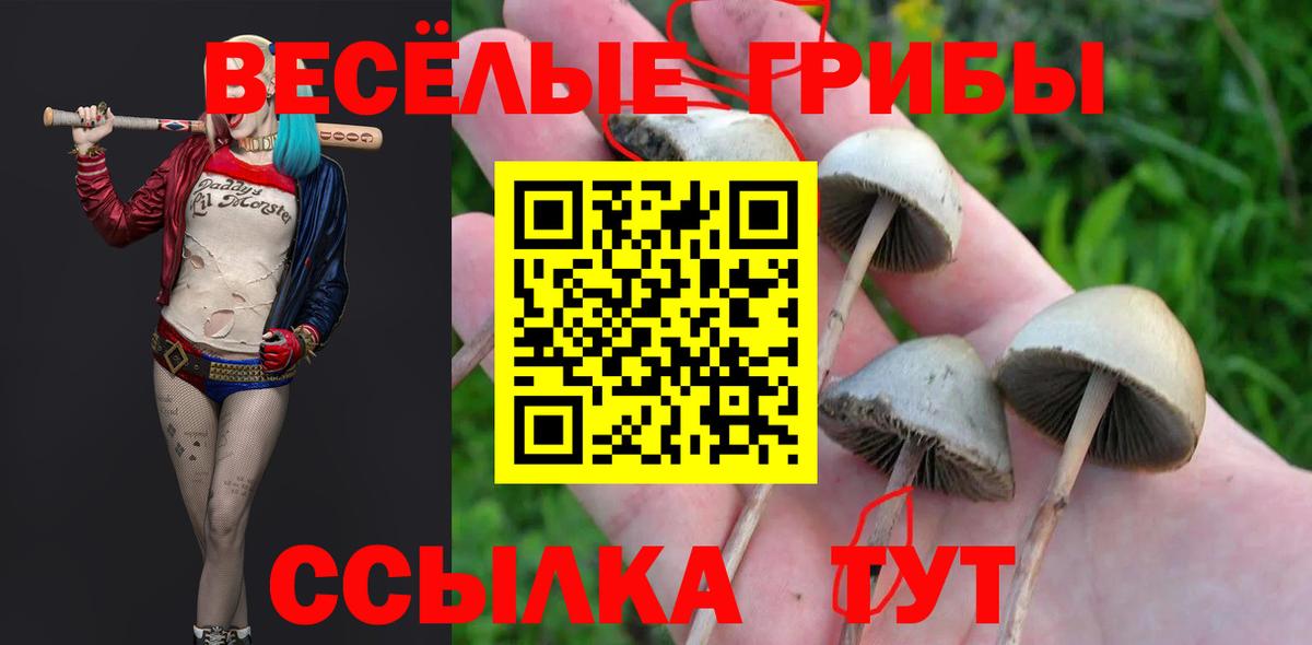 Юрга  закладки  Вход с VPN  Галлюциногенные грибы Psilocybine cubensis  Галлюциногенные грибы Magic Shrooms 